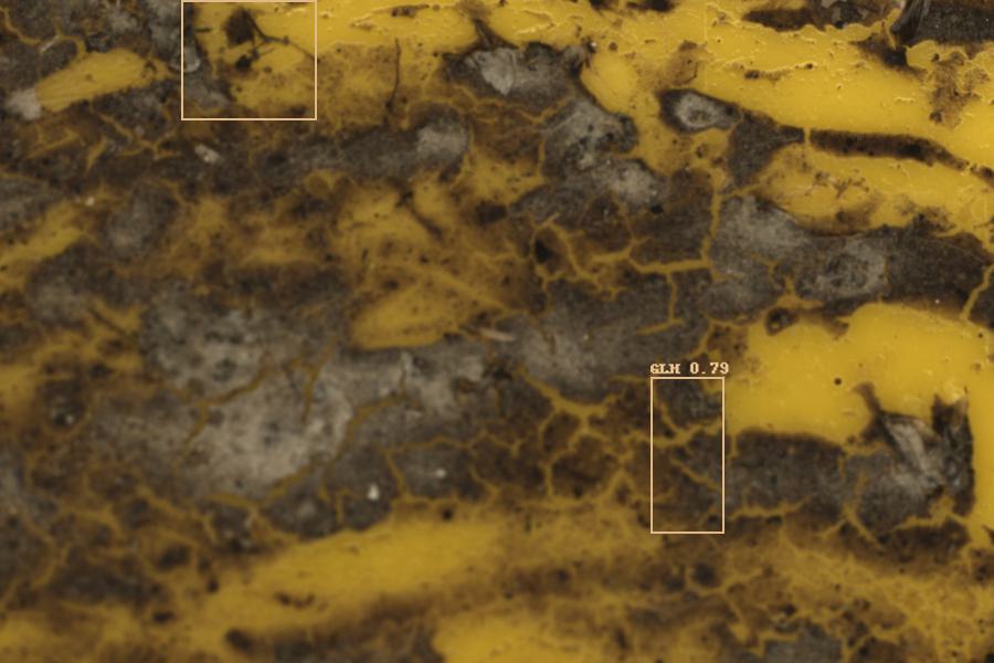 Image 10